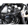 S100 Освежитель цвета