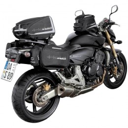 Held Vivione Хекташ