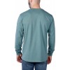 Carhartt Logo Длинный лислив
