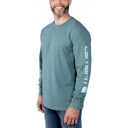 Carhartt Logo Длинный лислив
