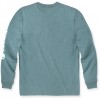 Carhartt Logo Длинный лислив