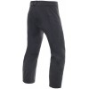 Dainese Awa P M1 Брюки горнолыжные мужские