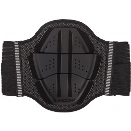 Zandona Shield Evo X3 Защитник Ламбара
