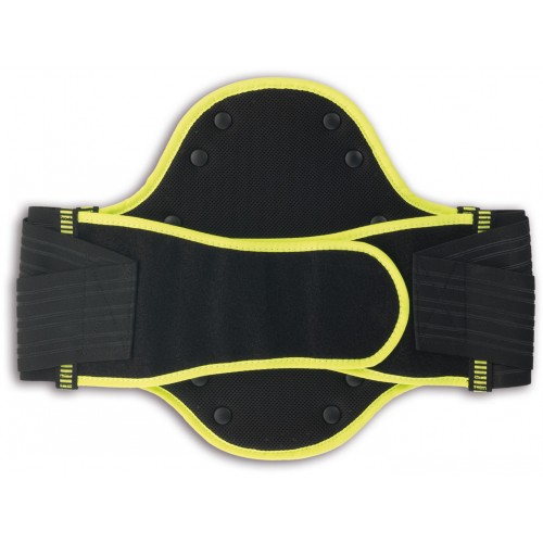 Zandona Shield Evo X4 Защитник Ламбара
