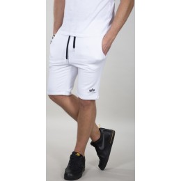 Alpha Industries Big Letters Шорты