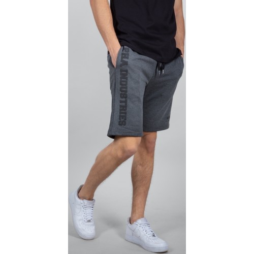 Alpha Industries Big Letters Шорты