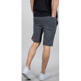 Alpha Industries Big Letters Шорты