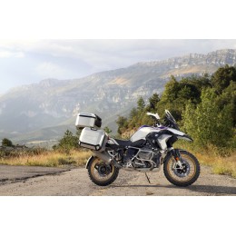 SHAD СПИНКИ ТЕРРА ТОП СЛУЧАЯХ Верхняя спинка