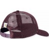 Carhartt Canvas Mesh Graphic Шапка