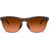 Oakley Frogskins Lite Tortoise Prizm Солнечные очки