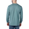 Carhartt Logo Длинный лислив