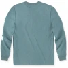 Carhartt Logo Длинный лислив