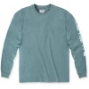 Carhartt Logo Длинный лислив