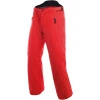 Dainese HP2 P M1 Брюки горнолыжные мужские