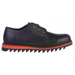 Dickies Springs Обувь