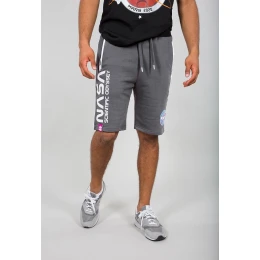 Alpha Industries Odyssey Шорты